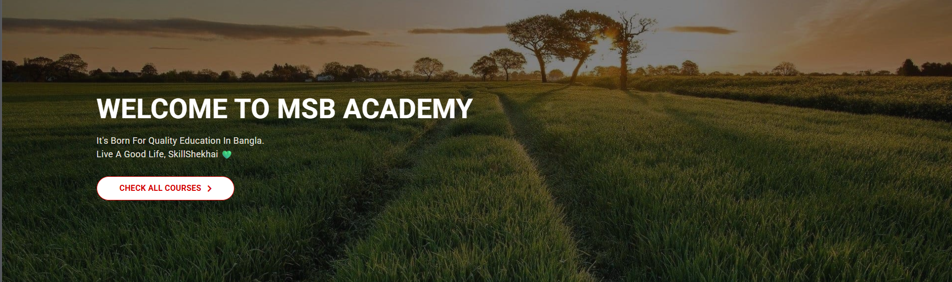 MSB Academy banner